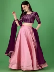 free-half-sleeve-jebrila-pink-lehenga-choli-fashionlamp-original-imagnqs7jgdrkgnh